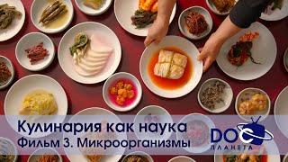 Кулинария как наука - Фильм 3. Микроорганизмы - Документальный фильм