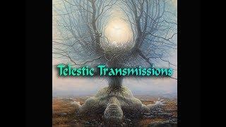 Telestic Transmissions: Variegated Voices