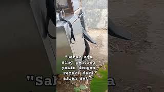 Supra bapak modal usaha . #shorts #video #Jualancilok #suprabapak #videoviral