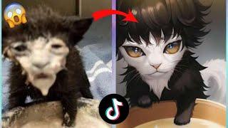 I TRY AI MANGA FILTER TIKTOK ON MY CATS (Funny Results Compilation)