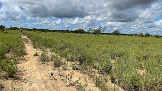 Fazenda em Roraima Bonfim 107hectares por 700 mil