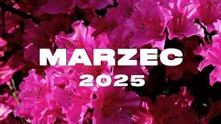 Eska Hity Marzec 2025 * Najnowsze Przeboje z Radia Eska 2025 * Najlepsza radiowa muzyka 2025 #22