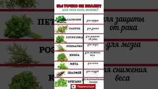 А ВЫ ЗНАЛИ?#зелень #здоровье #полезно #полезныесоветы #еда #продукты #питание #здоровыйобраз #польза