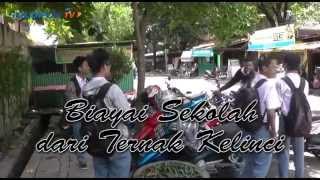 Biayai Sekolah dari Ternak Kelinci (Part 1)