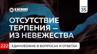 Вопрос 222. Отсутствие терпения из невежества. Единобожие в вопросах и ответах. Ринат Абу Мухаммад