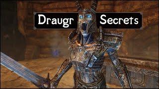 Skyrim: 5 Things They Never Told You About the Draugr