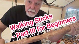 Walking Sticks - Part III for Beginners