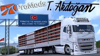 TANJU AKDOĞAN VOLVO & KRONE !! TÜRKİYE - GÜRCİSTAN SINIR KAPISI | ETS2 PROMODS 1.51 !!