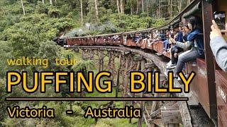 MELBOURNE :  Puffing Billy Railway - Old Steam Train - Australia - Autumn 2023 - Walking Tour