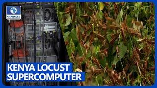 How Technology Can Help Combat The Locust Invasion