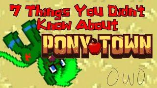 7 Things You Might Not Have Known About Pony Town