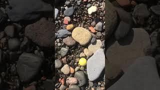 Beach combing for sea marbles! Success! A yellow one!