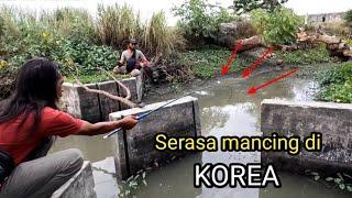 Banyak orang lewat!! Segampang ini mancing cuma di pinggir jalan