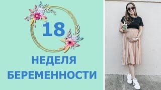 18 Неделя Беременности. Развитие плода и ощущения мамы