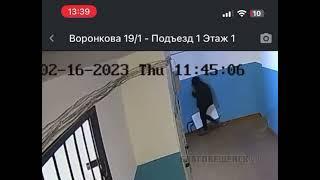 Подозрительное поведение девушки в подъезде встревожило благовещенцев