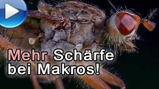 Mehr Schärfe bei Makros!