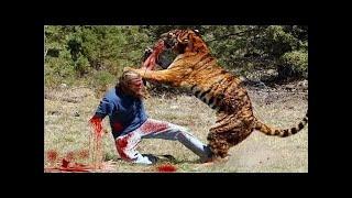 Most Extreme Deadly Animal Attacks on Humans (Caught on camera) Part -4 #LifeOfBigCat