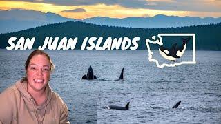 The BEST place to go WHALE  WATCHING in the USA | San Juan Islands Washington