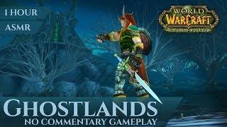 Ghostlands - Gameplay, No Commentary, ASMR (1 hour, 4K, World of Warcraft The Burning Crusade)