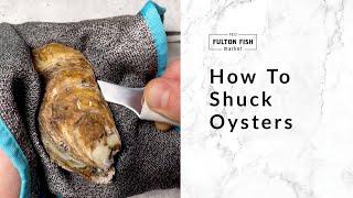 How To Shuck Oysters