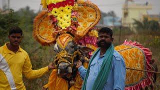 RNR Huli Bull Decoration, Bail pola, Devva mariyappa, hori habba Jallikattu