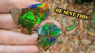 I Was Sent a Box Full of Dinosaur-Aged Fossils, Crystals, Geodes, & More! Unboxing Montana Treasure!