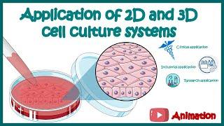 Application of 2D and 3D cell culture systems | Clinical, Industrial and Research applications