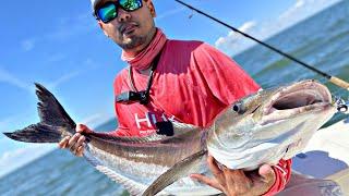 COBIA BITE WAS ON FIRE! CHESAPEAKE BAY FISHING for COBIA! SIGHT CASTING FOR COBIA (CHASIN' WAKE)