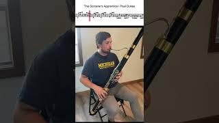 THE SORCERER’S APPRENTICE | Bassoon Excerpt #bassoon #shorts #shortsfeed