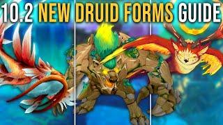 Complete Guide to All New Druid Forms in Patch 10.2 Guardians of the Dream WoW