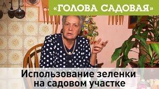 Голова садовая - Использование зеленки на садовом участке