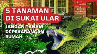 5 Tanaman Yang Di Sukai Ular || jangan tanam di pekarangan rumah #edukasi #tanaman