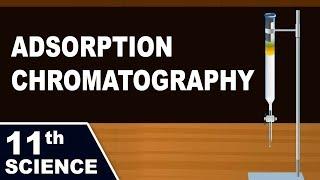 Adsorption Chromatography | 11th Std | Chemistry | Science | Maharashtra Board | Home Revise