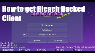 How to get Bleach hack hacked client 1.19.4