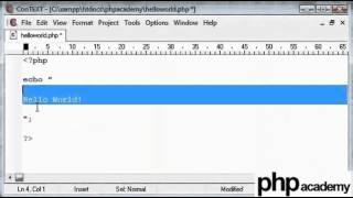 Use Echo Function and Setup Tags - Basic PHP Tutorial [English]