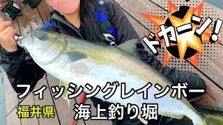 [海上釣り堀]フィッシングレインボー今年初の青物です️