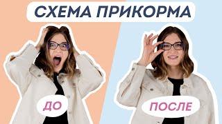 НИКТО НЕ ЗНАЕТ КАК ВВОДИТЬ ПРИКОРМ ПРАВИЛЬНО. Ответы в этом видео.