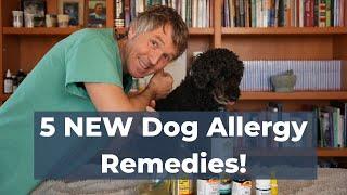 5 Surprising Home Remedies for Dog Allergies - Scientifically Proven to Help!
