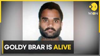 US police rebut reports of gangster Goldy Brar's murder, says he is alive | Latest News | WION