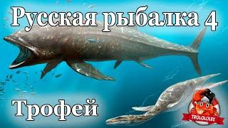 Русская рыбалка 4 Тянем чтото из глубин Трофей Норвежское море