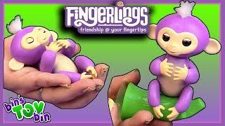 HOTTEST TOY OF THE SEASON! FINGERLINGS | BINS TOY BIN