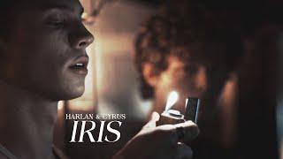 Harlan and Cyrus | Iris (Wolf Pack)