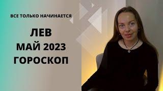 Лев - гороскоп на май 2023 года. Все только начинается