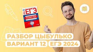 Разбор сборника Цыбулько I Вариант 12 I Русский язык I ЕГЭ-2024