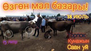 Өзгөн мал базары! Саан уйлар| Кунажын| Ургаачы Торпок баалары! 18.07.2021