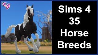 Sims 4 - All 35 Horse Breeds