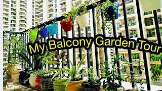 My balcony garden tour|Gardening ideas for home| Gardening  decoration idea for home|Balcony garden