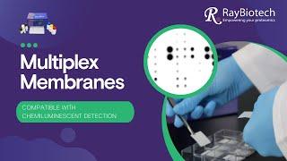 Membrane Array [How-to Handle when Multiplexing]