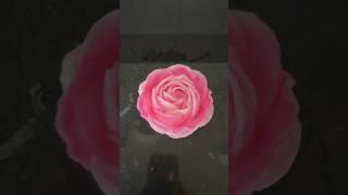 How to make viral cotton pad flowers!  #satisfying #diy #craft #oddlysatisfying #fun #easy #art