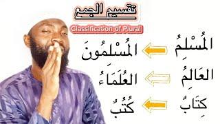 Arabic Plurals Will Trouble You No More